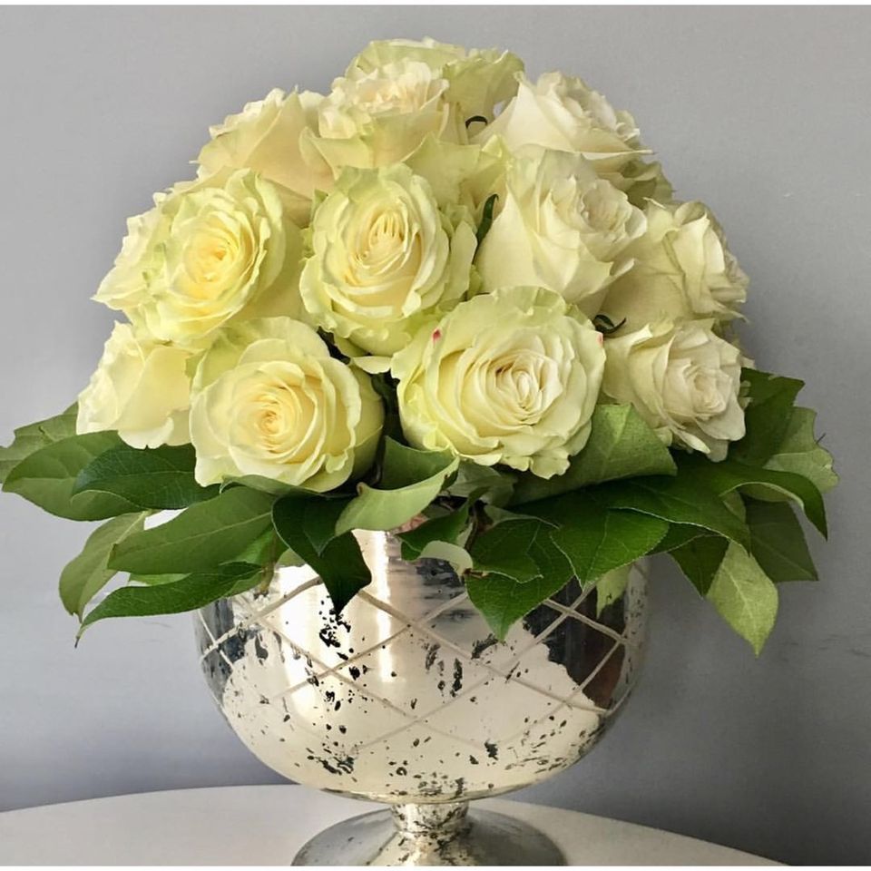 Regal Roses