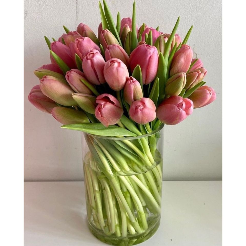Twisted Tulips